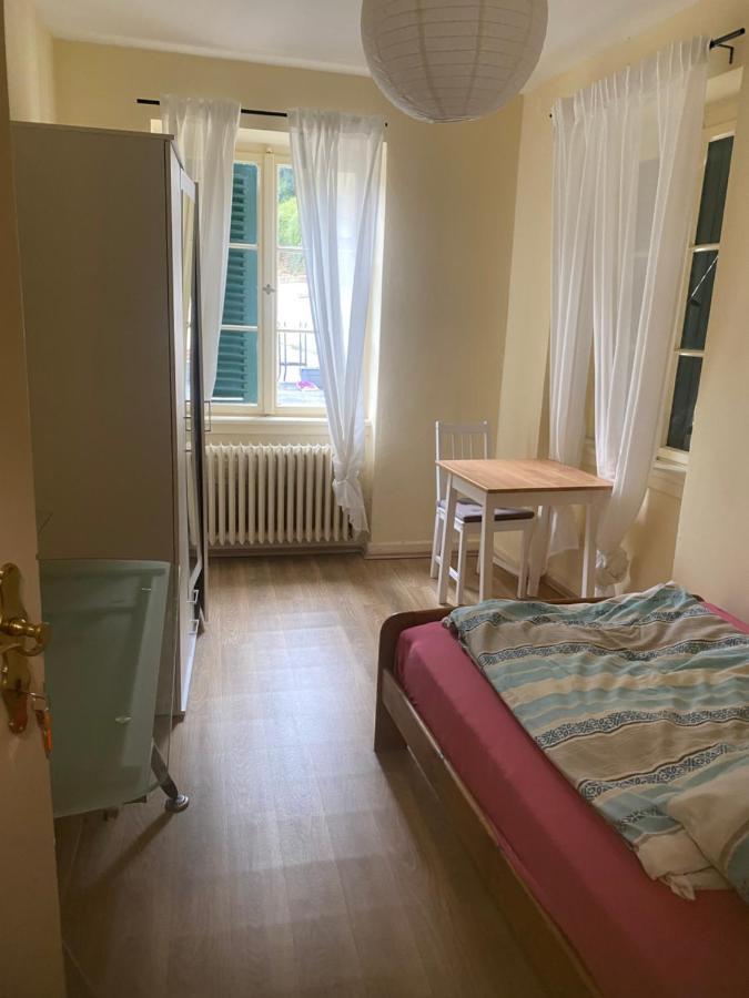 Burgfreiheit Apartment ไฮเดลเบิร์ก ภายนอก รูปภาพ